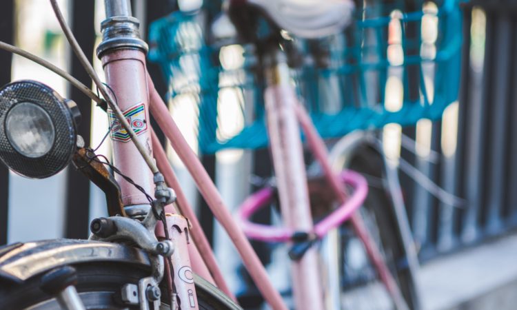 Les vélos, toujours côté lac !