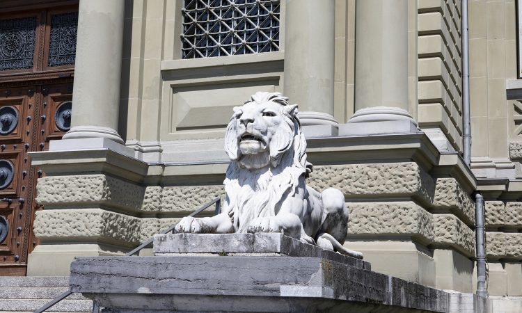 La vérité sur les lions lausannois