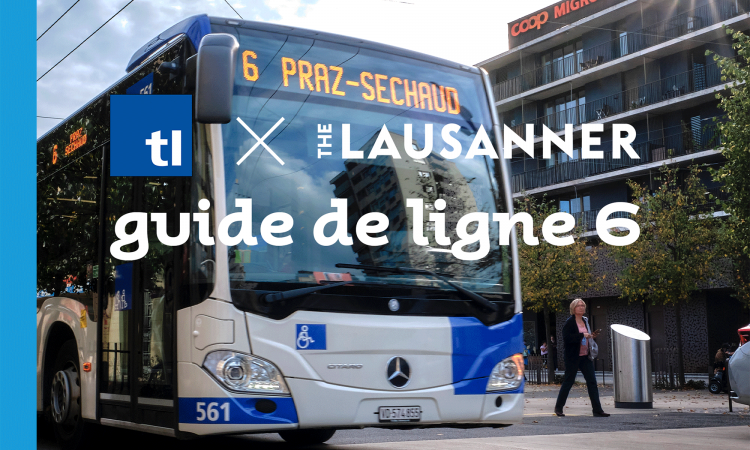 Guide de ligne 6