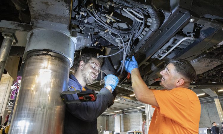 Entreprendre un apprentissage aux tl