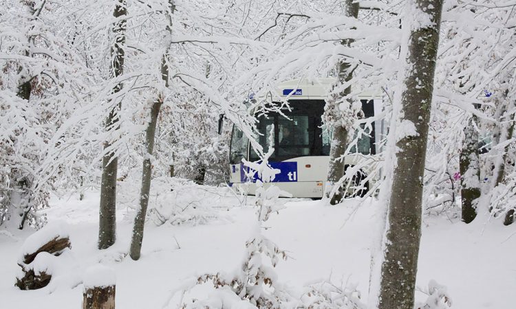 Un plan pour affronter la neige ?!
