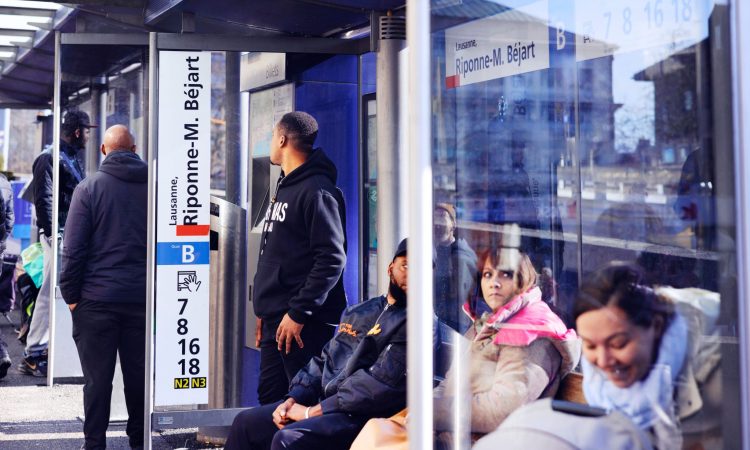 2023, une nouvelle année référence pour les tl